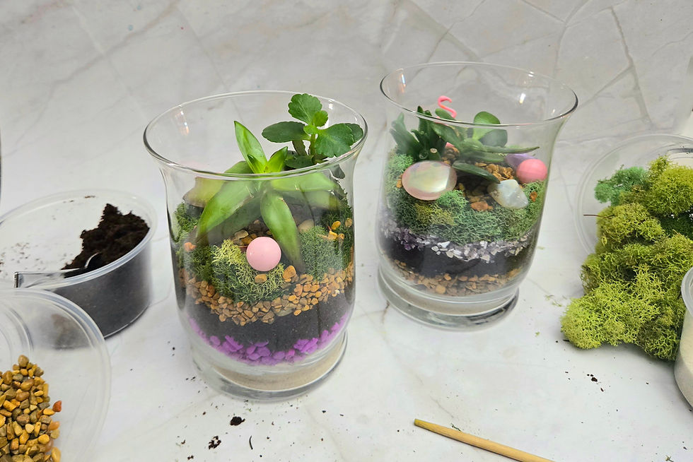 Layered Terrarium Workshop