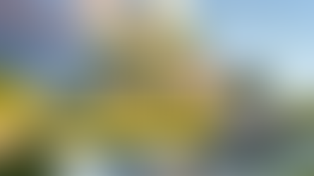 AD CORPUS ou AD MENSURAM