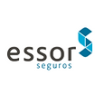 essor-2-690x271.png