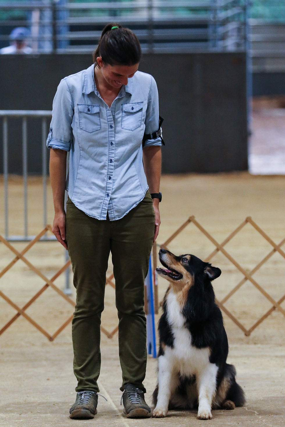 Australian shepherd and woman stare lovingly at each other. Dog is sitting in heel position in a competition ring.