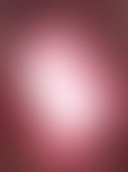 旬だから!ホタテでホムパ@隅田川花火大会