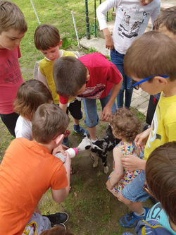 De Ferme en Ferme 2018