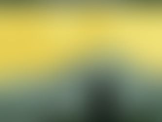 Libros Recomendados 2024