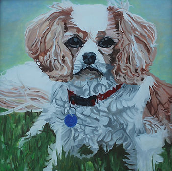 Daisy