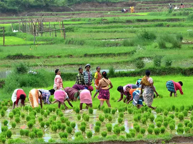 women-farmers.webp