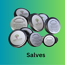 salves home (3 × 2 in).png