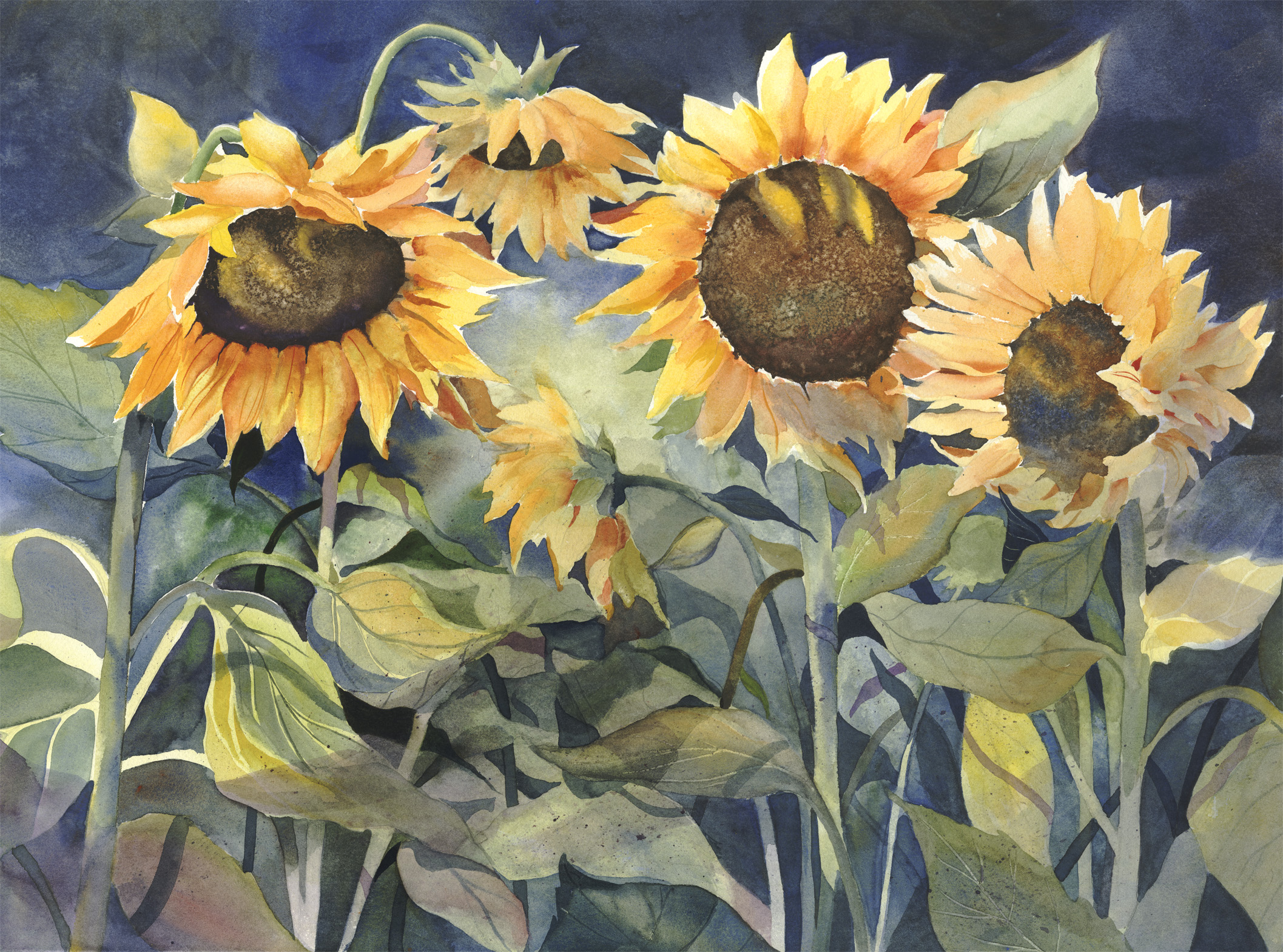 Sundancers