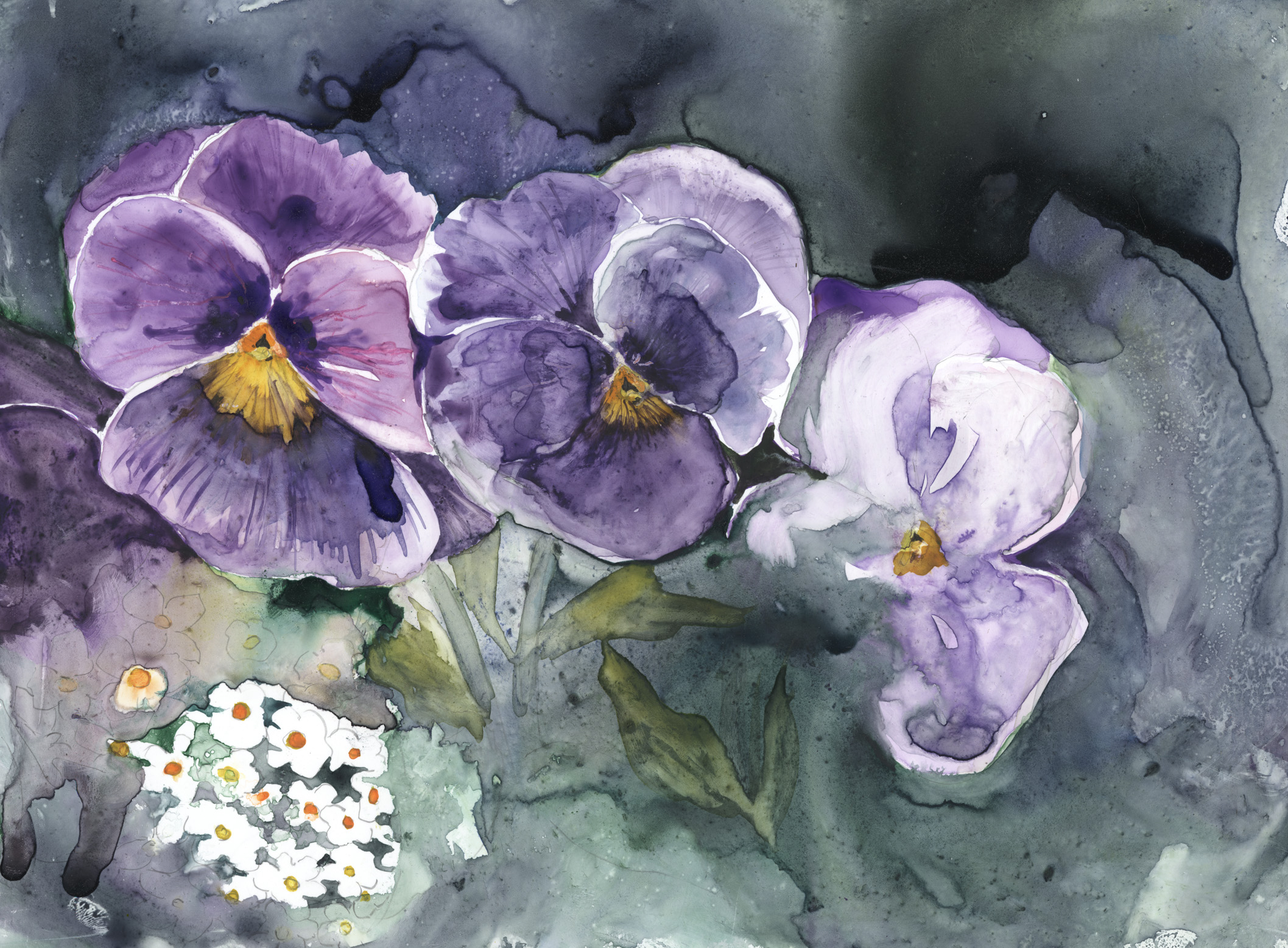 Pansies in Rain