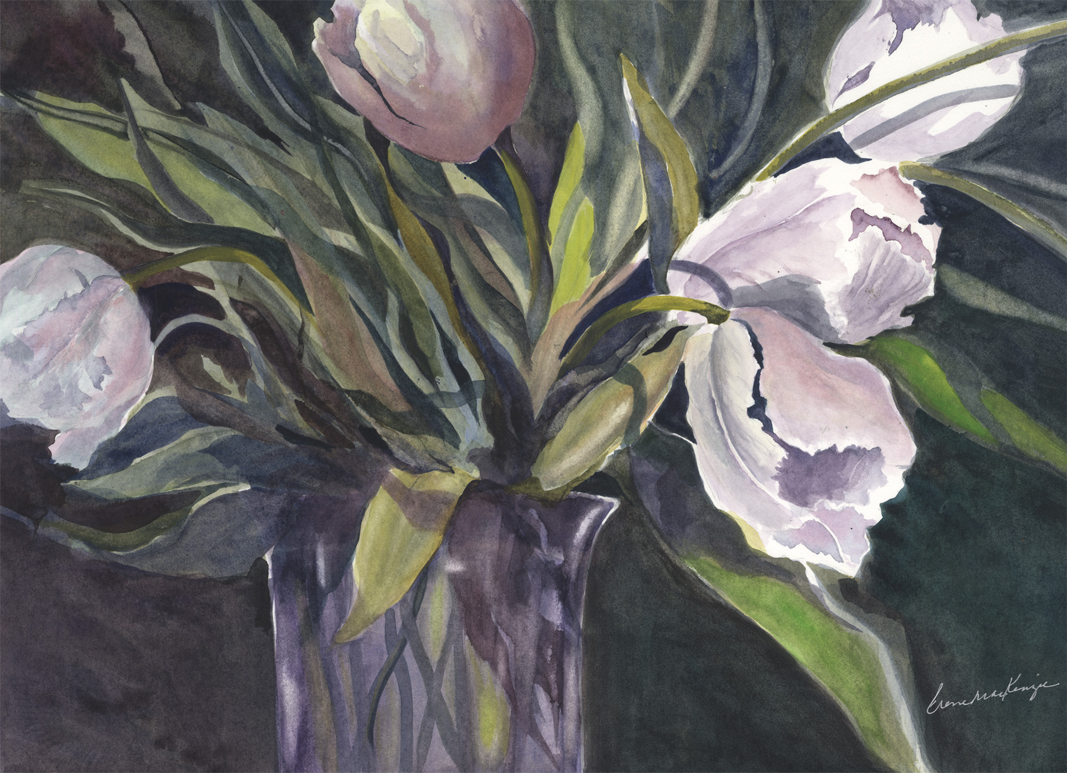 White Tulips