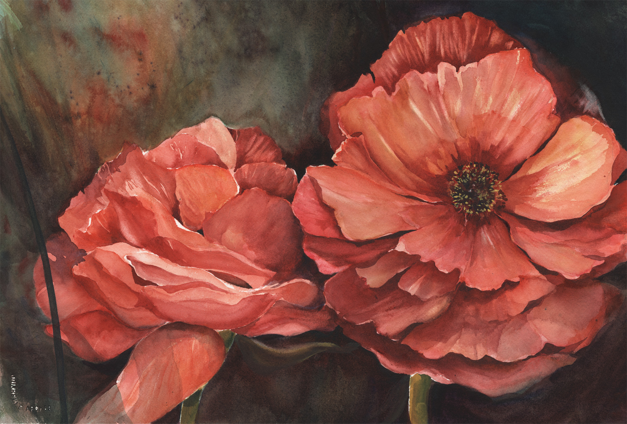 Poppy Embrace