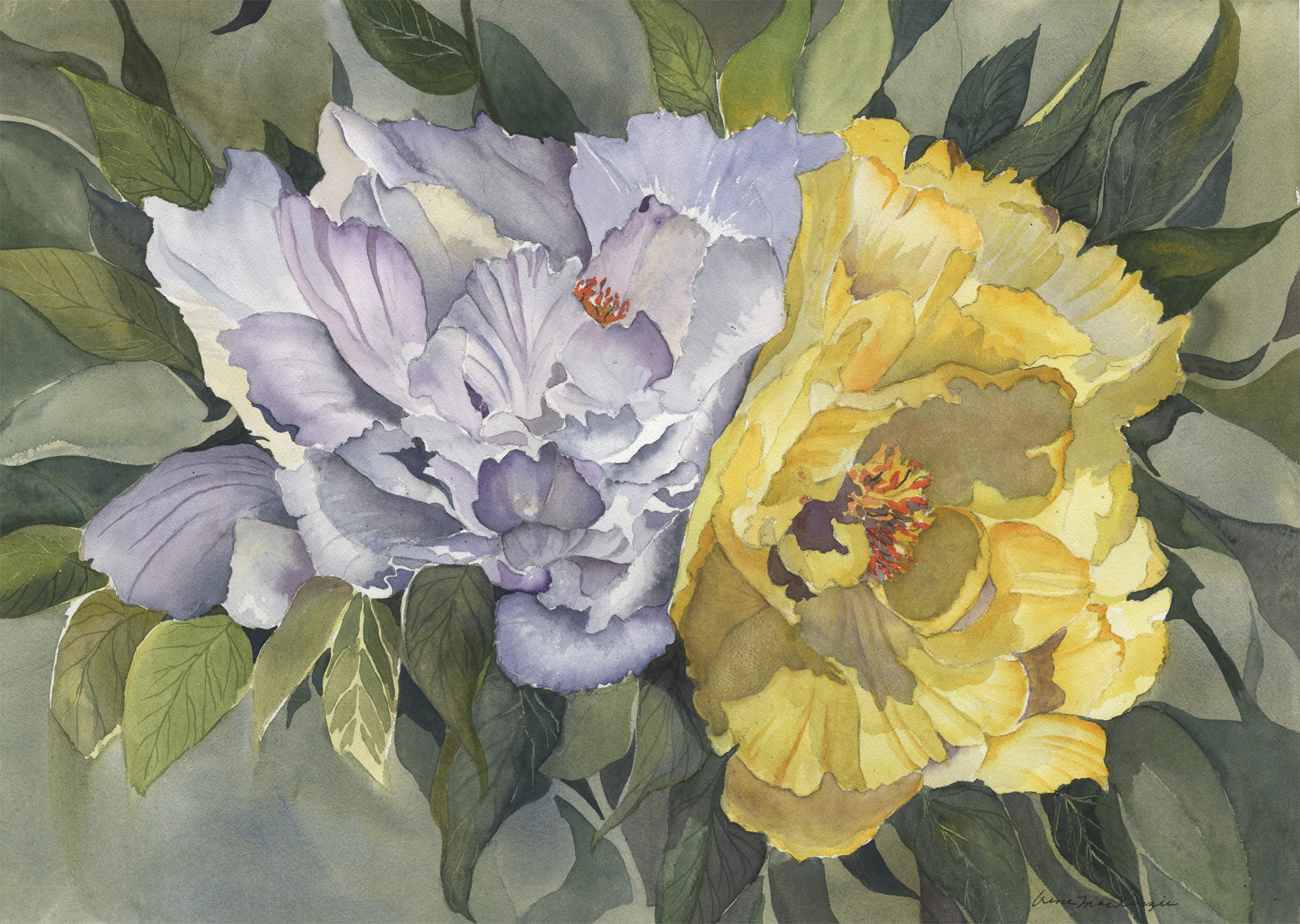 Peonies in Love