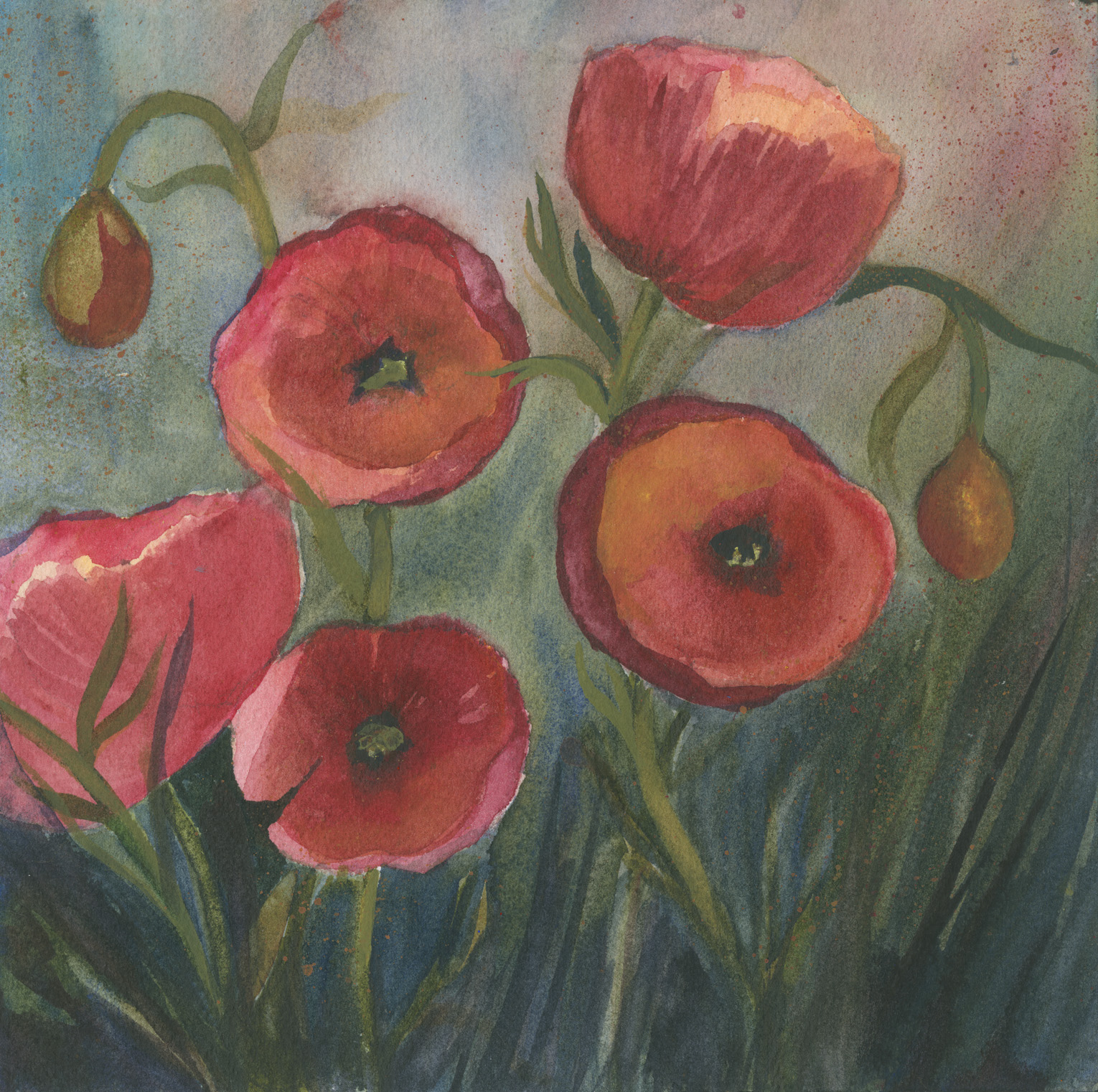 Tiny Poppies