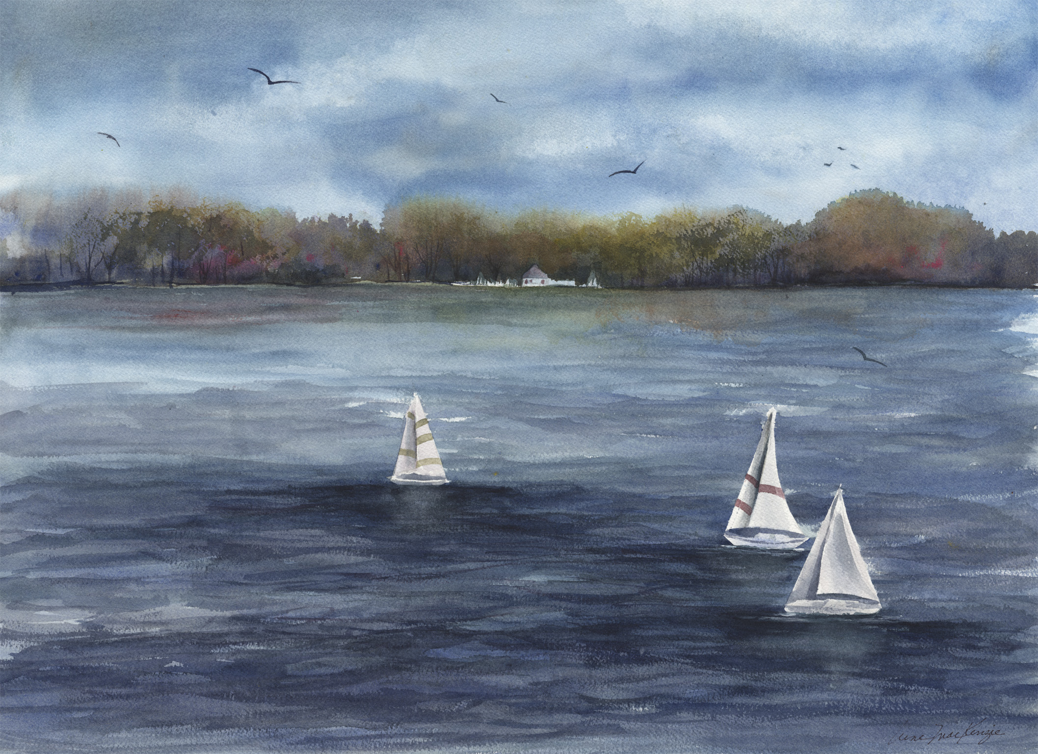 Toronto Island View