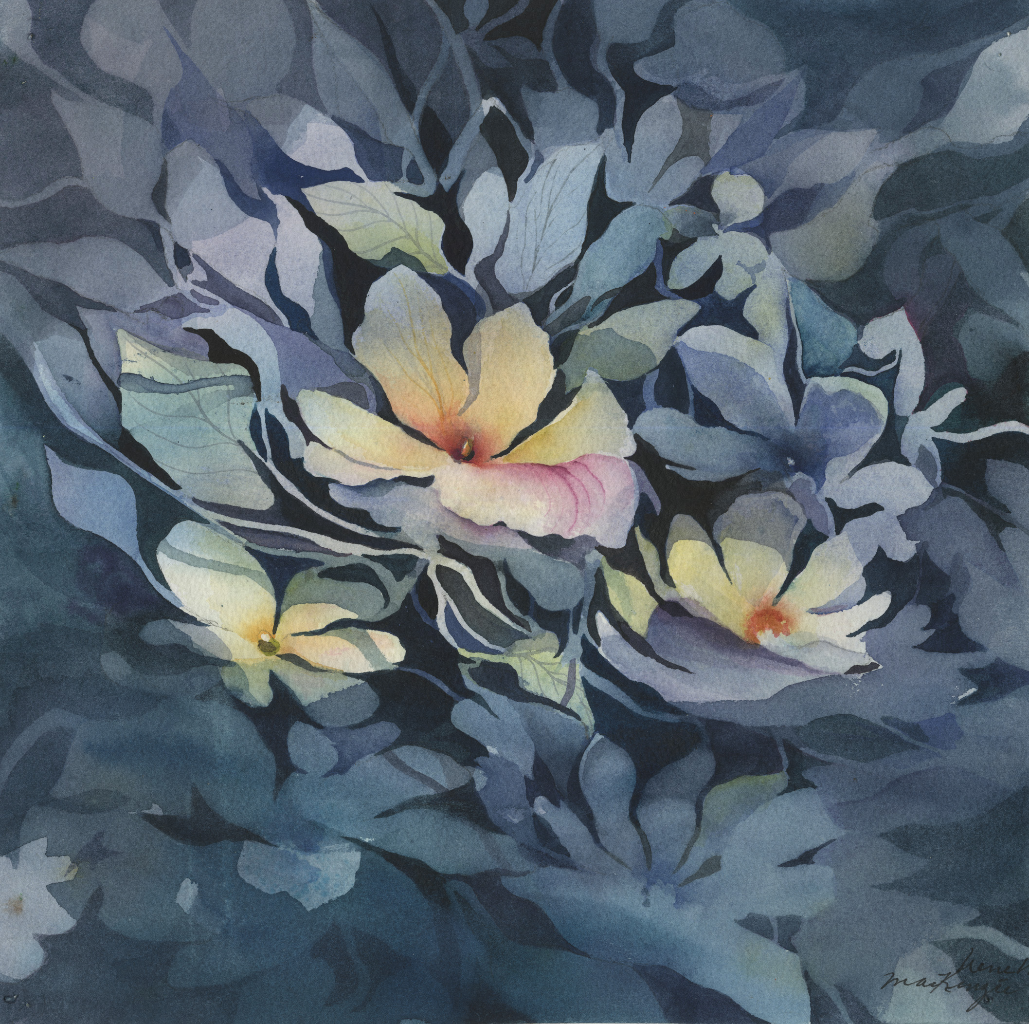 Shades of Blue