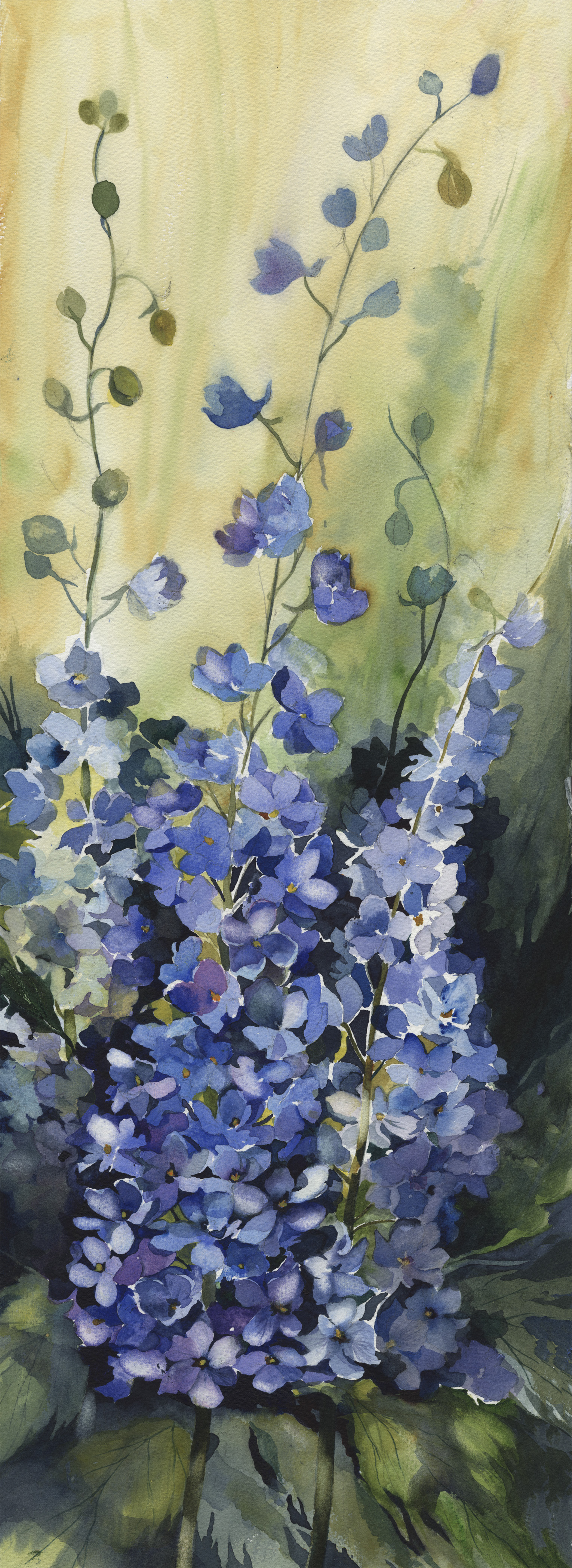 Inspiration in Blue