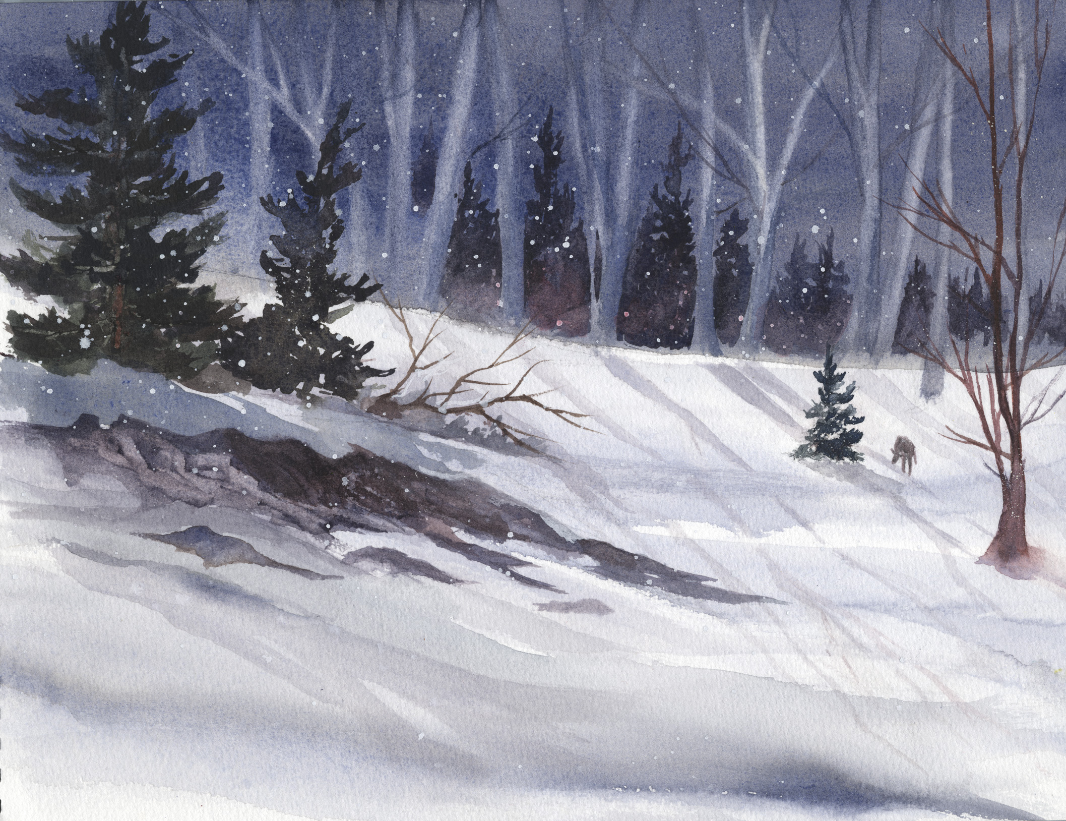 Winter Wonder