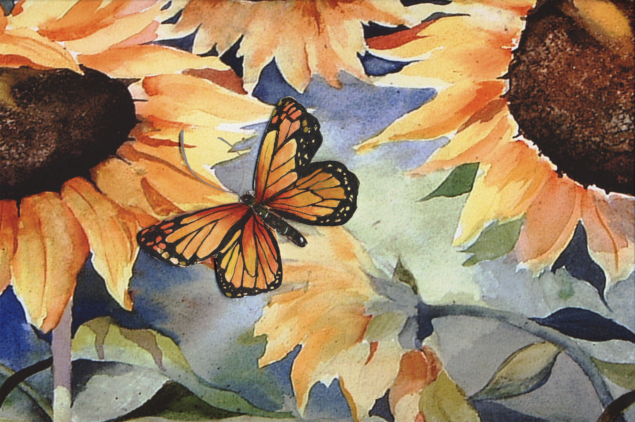 Monarch on Sunflowers