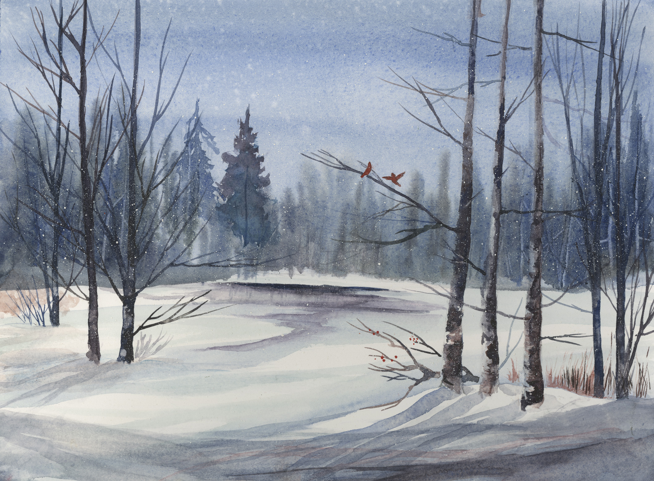Colour of Winter