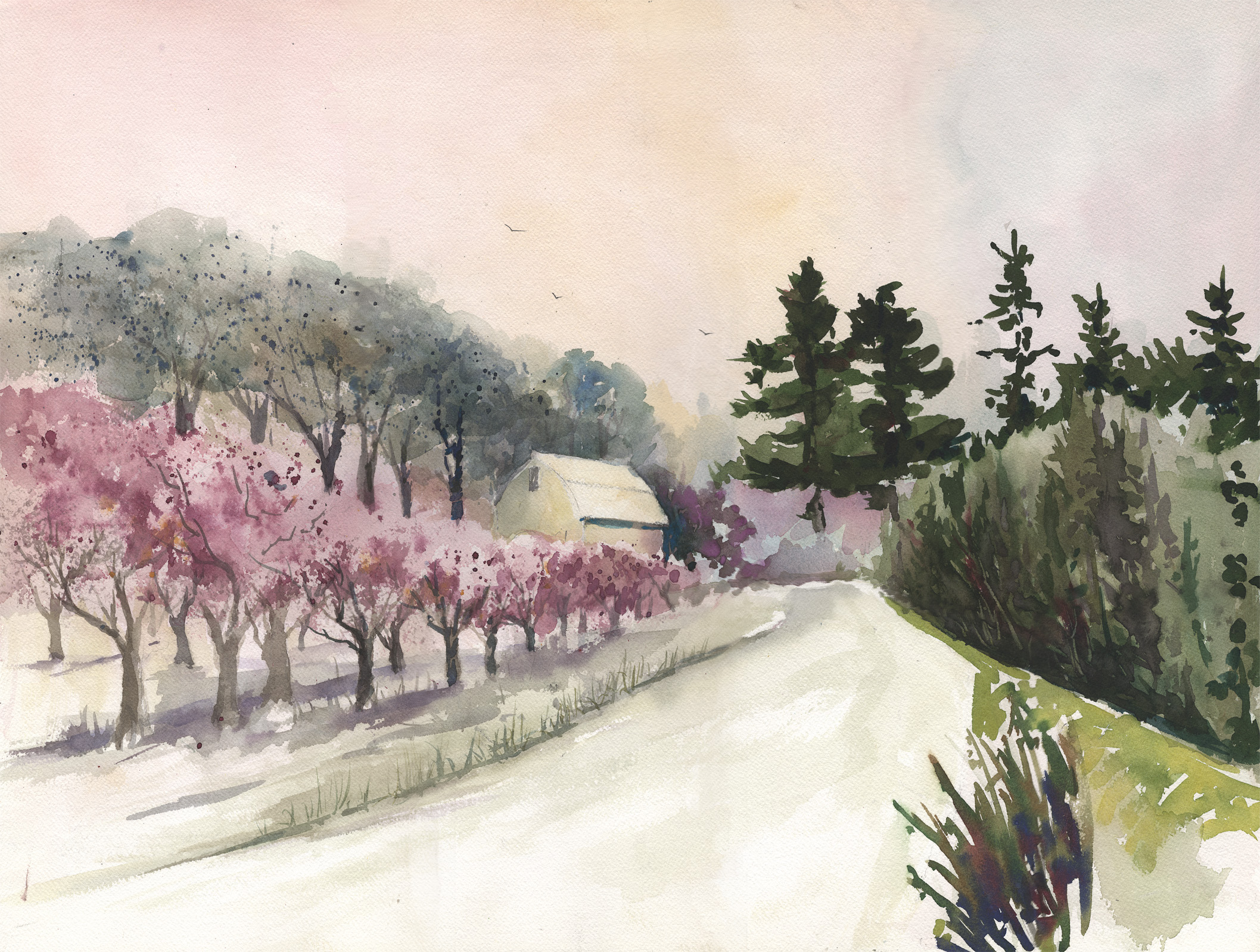 Niagara Orchard