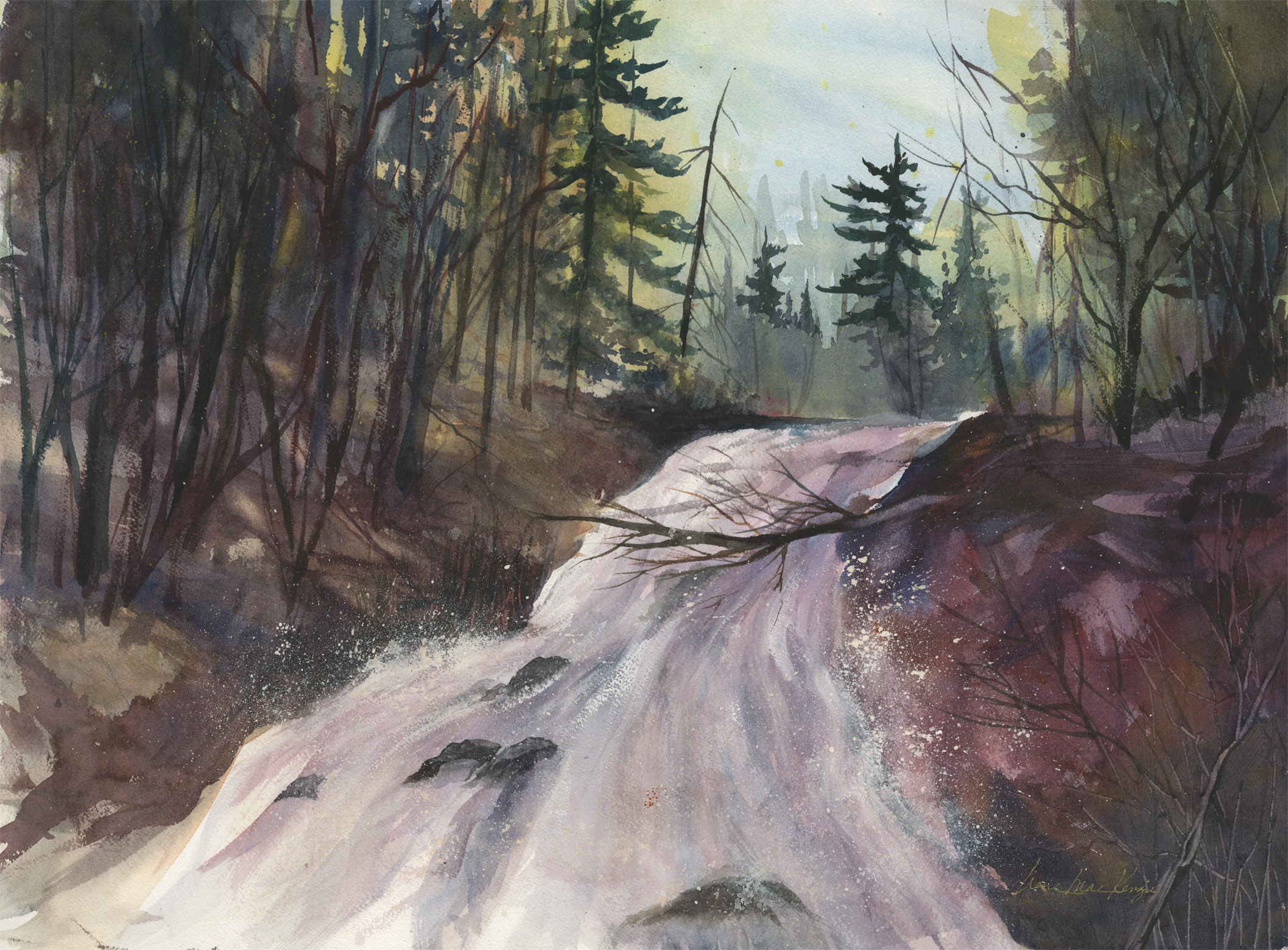 Ontario Falls