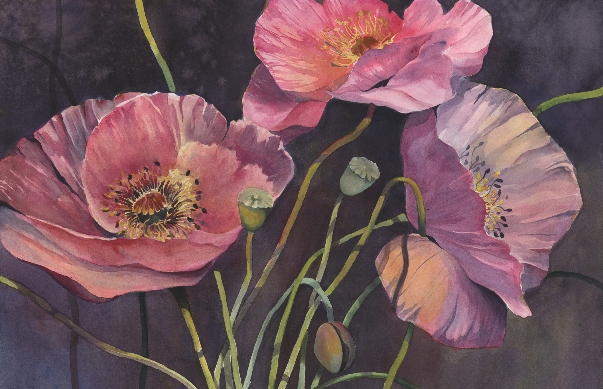 Pink Poppies