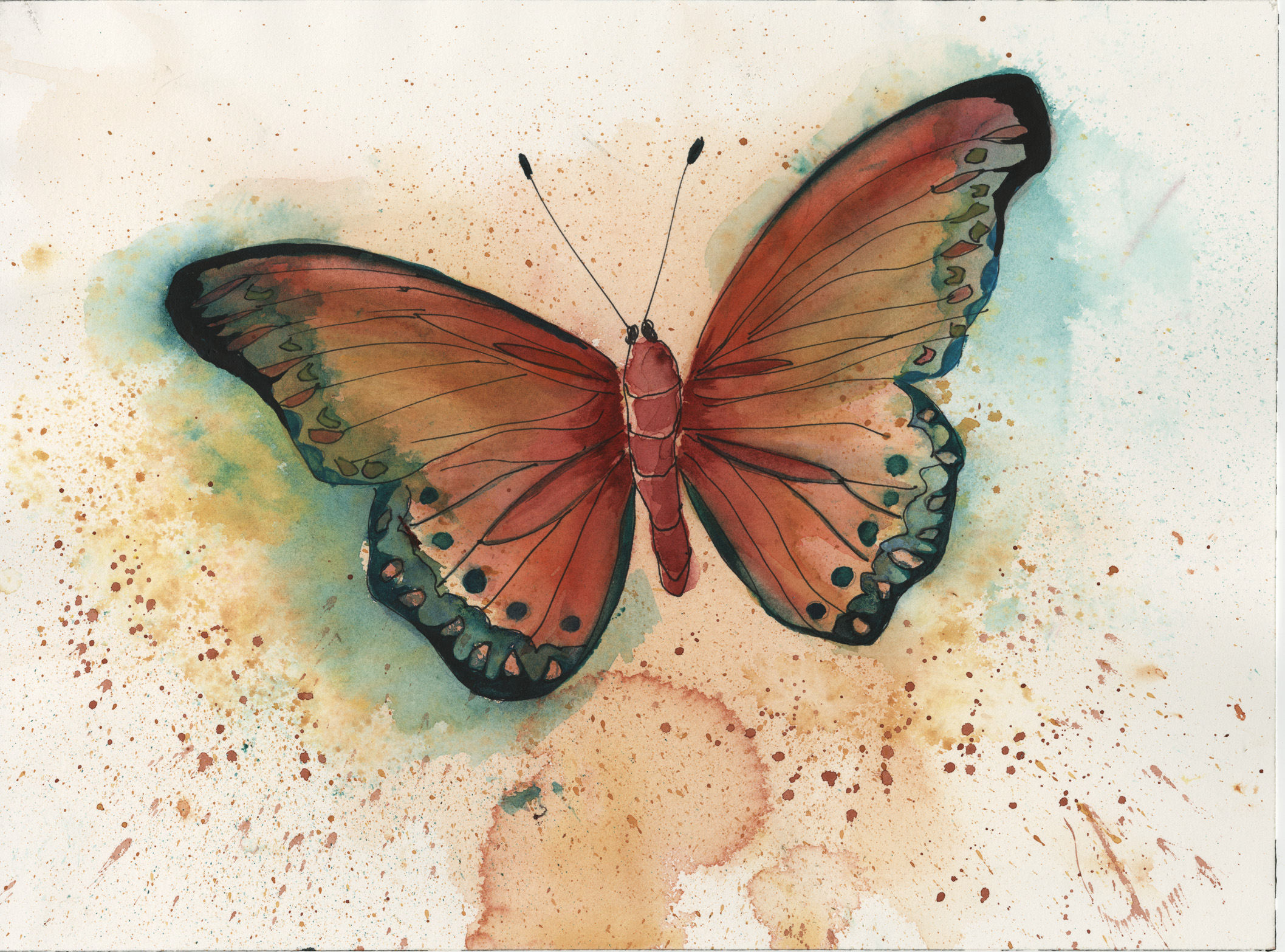 Summer Butterfly