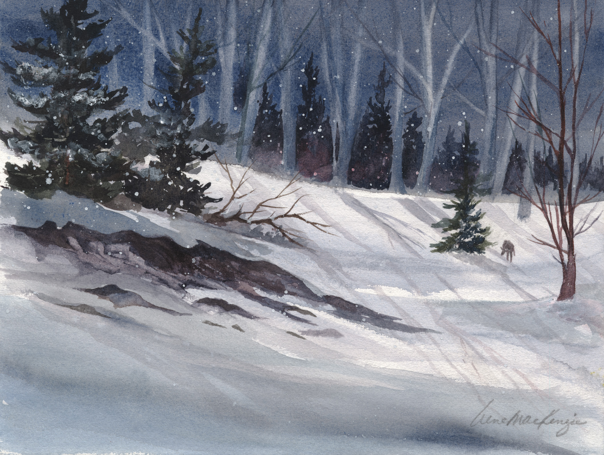 Winter Calm