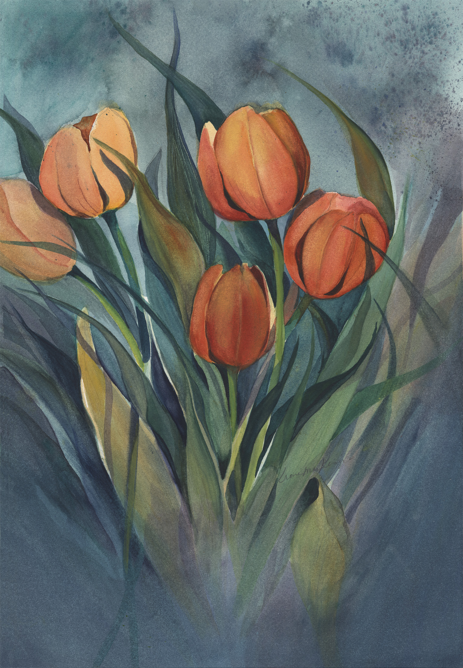 Tulip Radiance