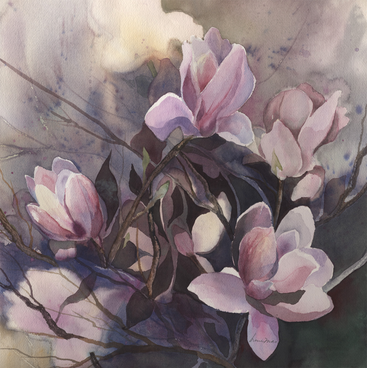 Pink Magnolias