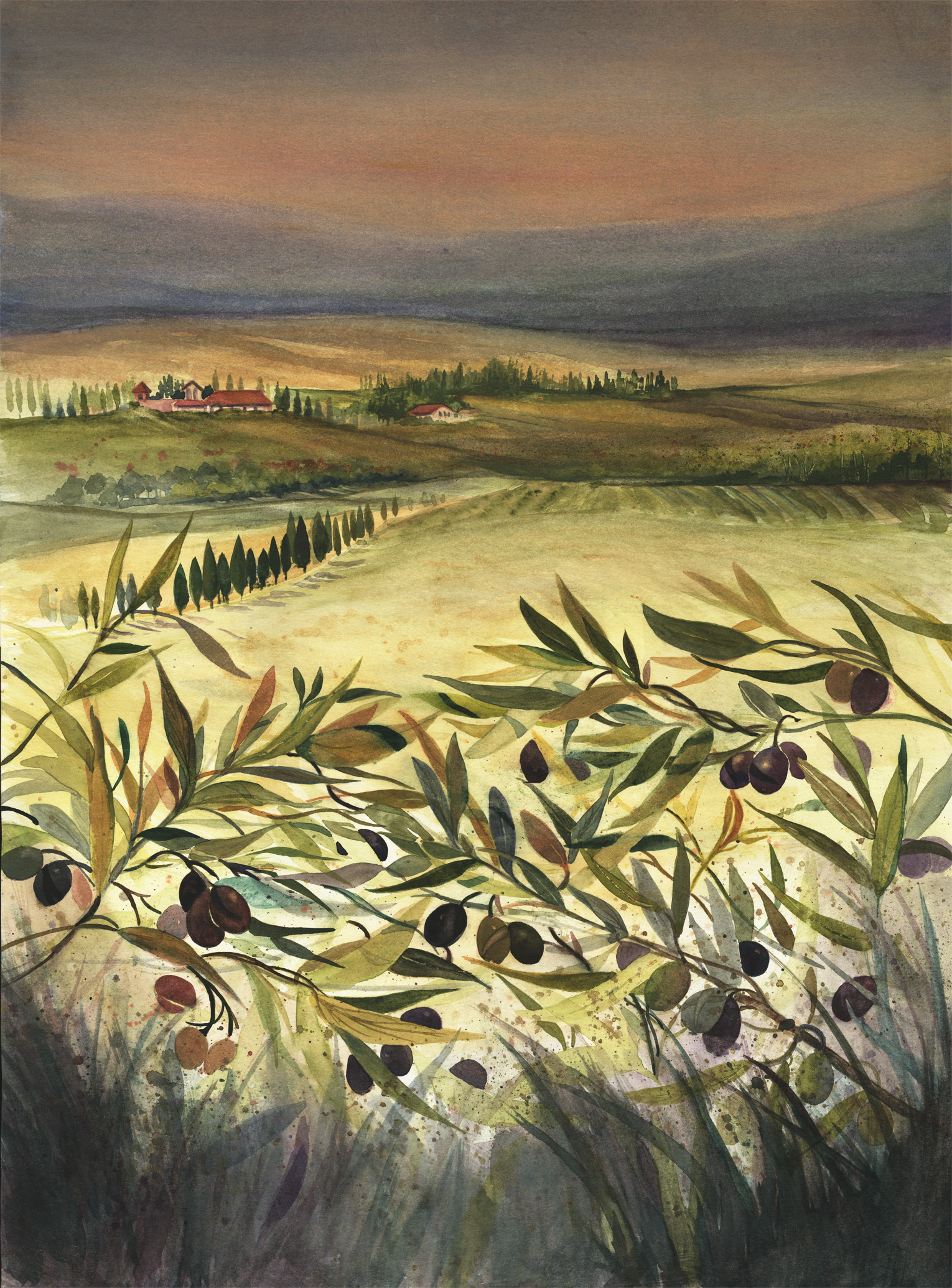 A Taste of Olives