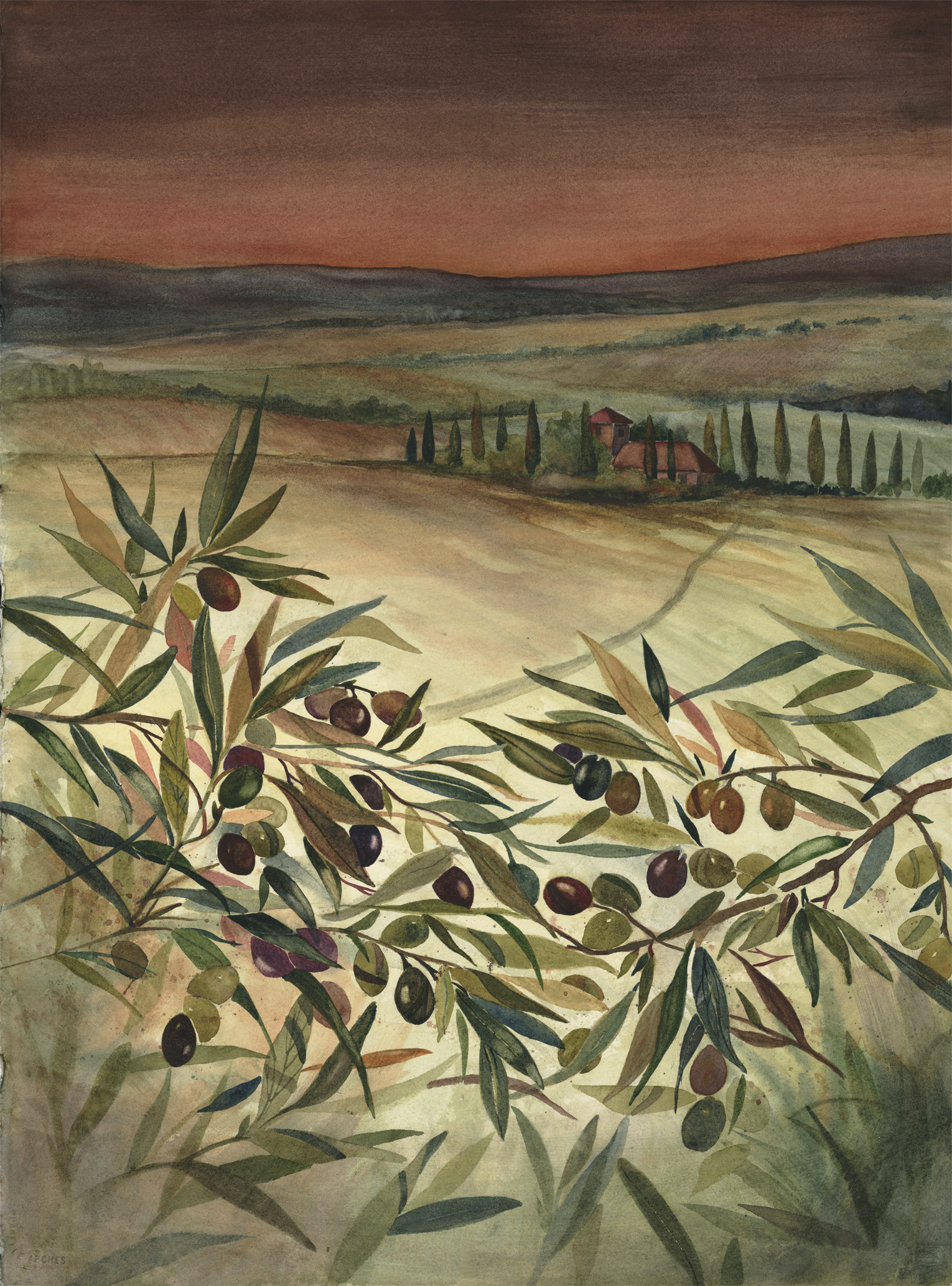 Tuscan Olives