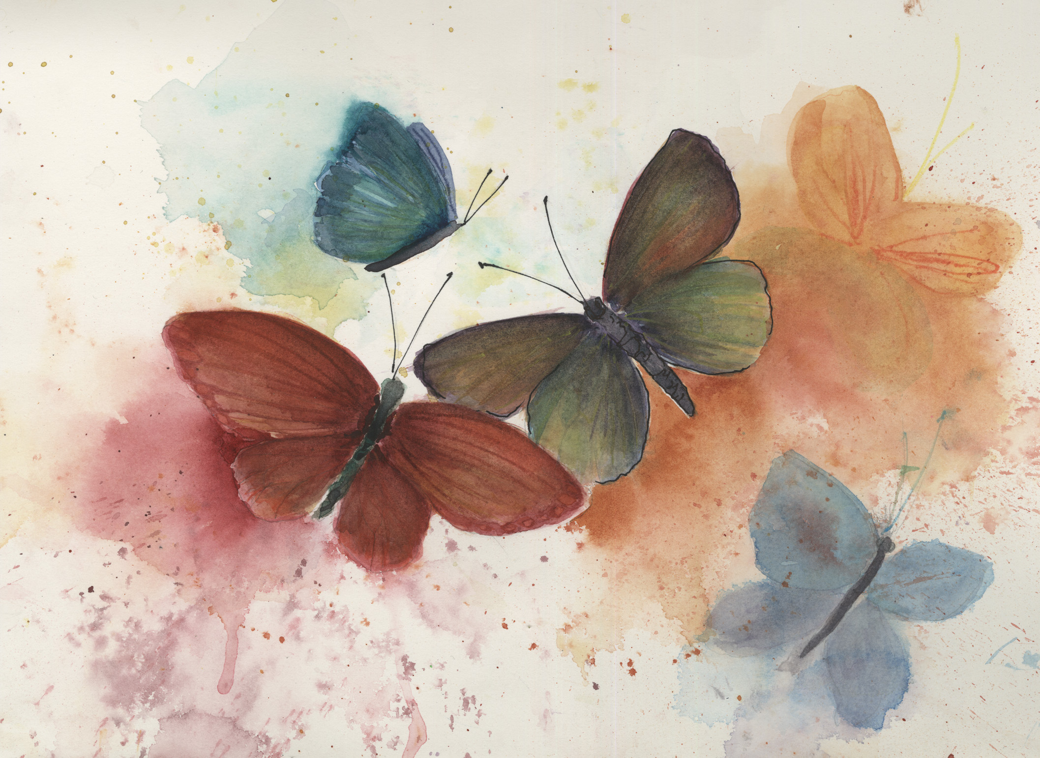 Spring Flight