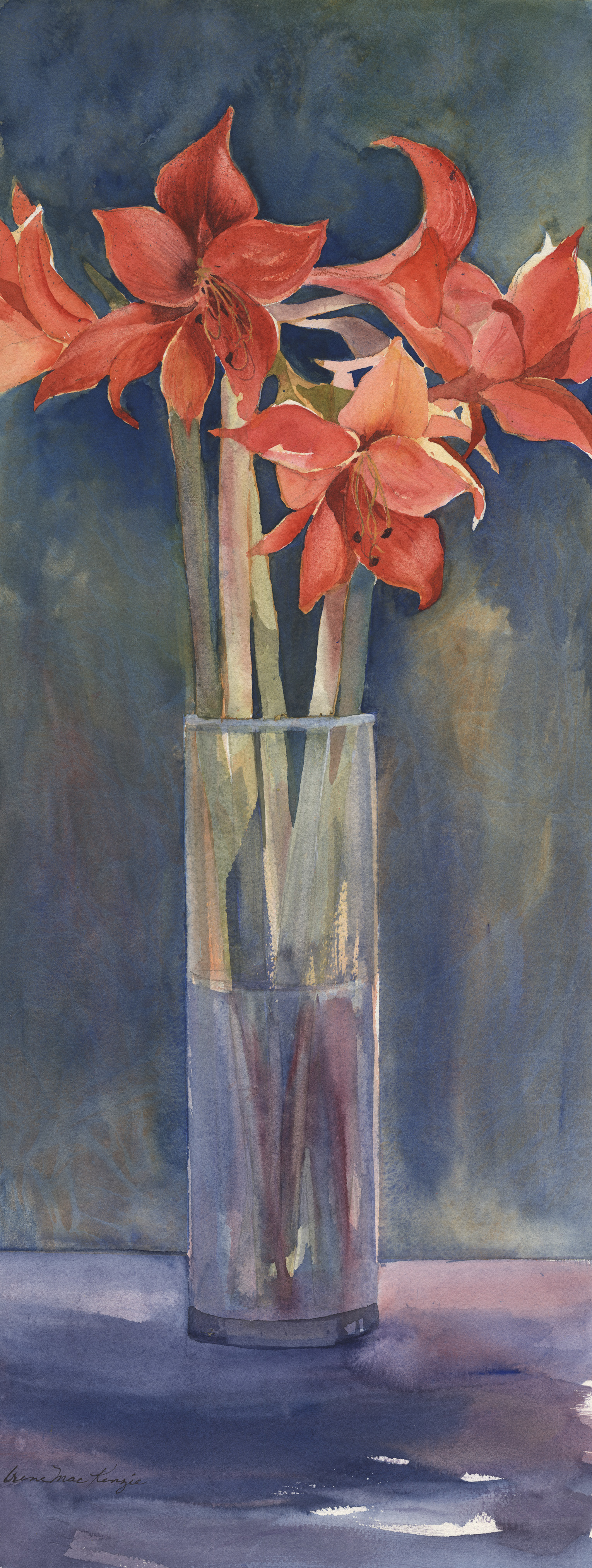 Tall Amaryllis