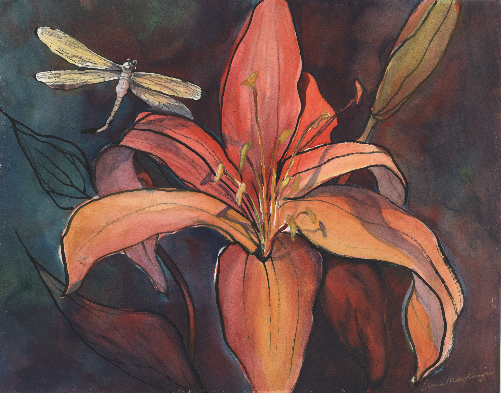 Lily and Dragonfly