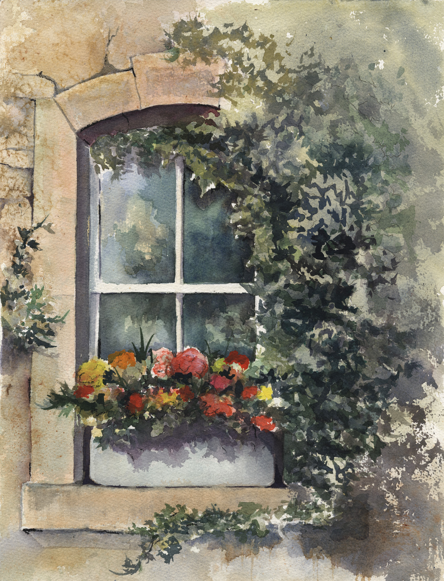 Ivied Window