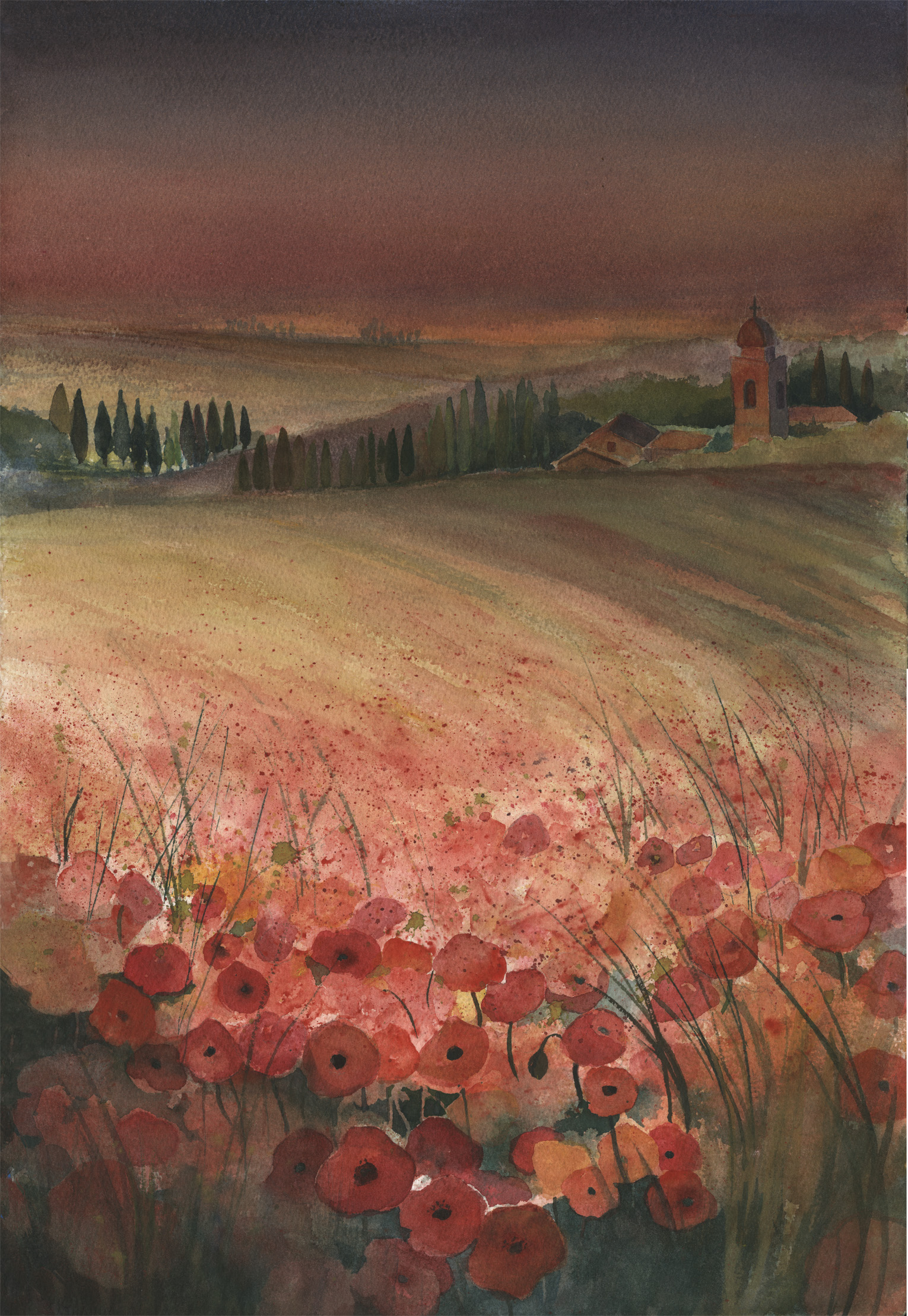 Tuscan Poppies
