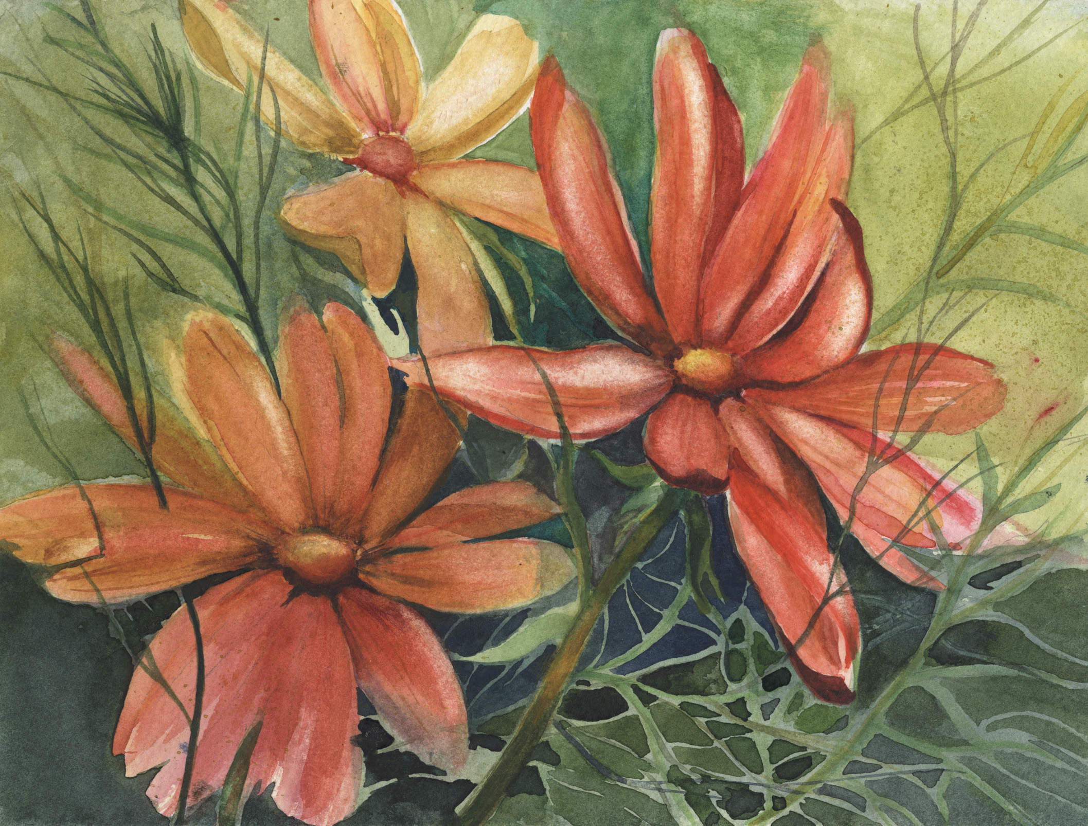 Cosmos