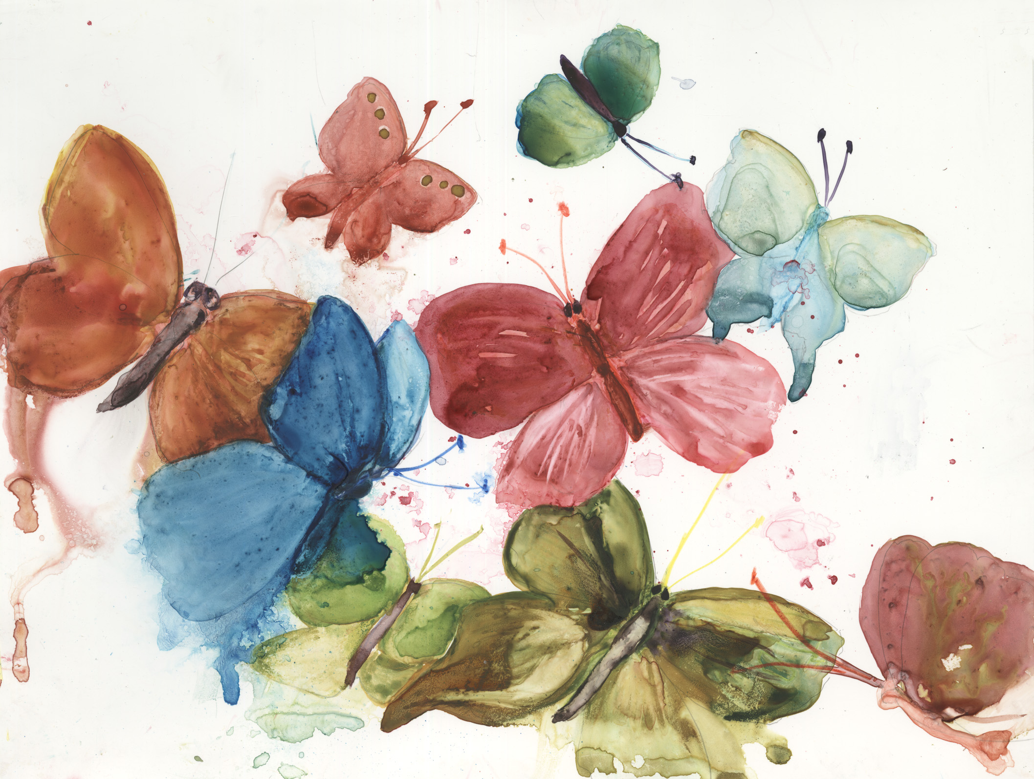 Butterflies in Rain