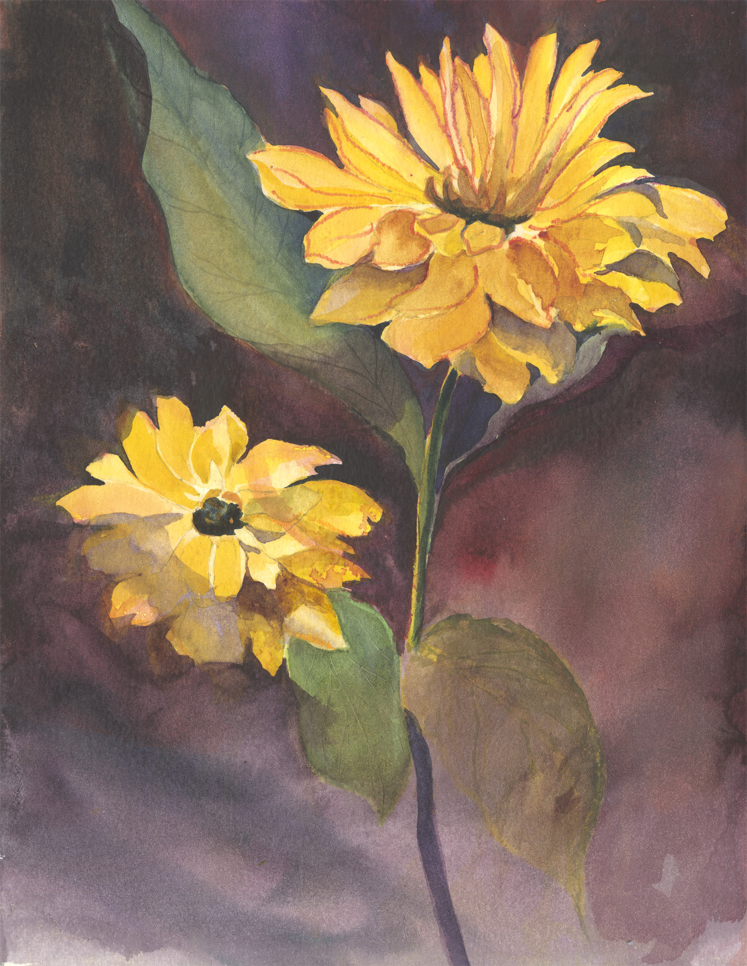 Dahlia