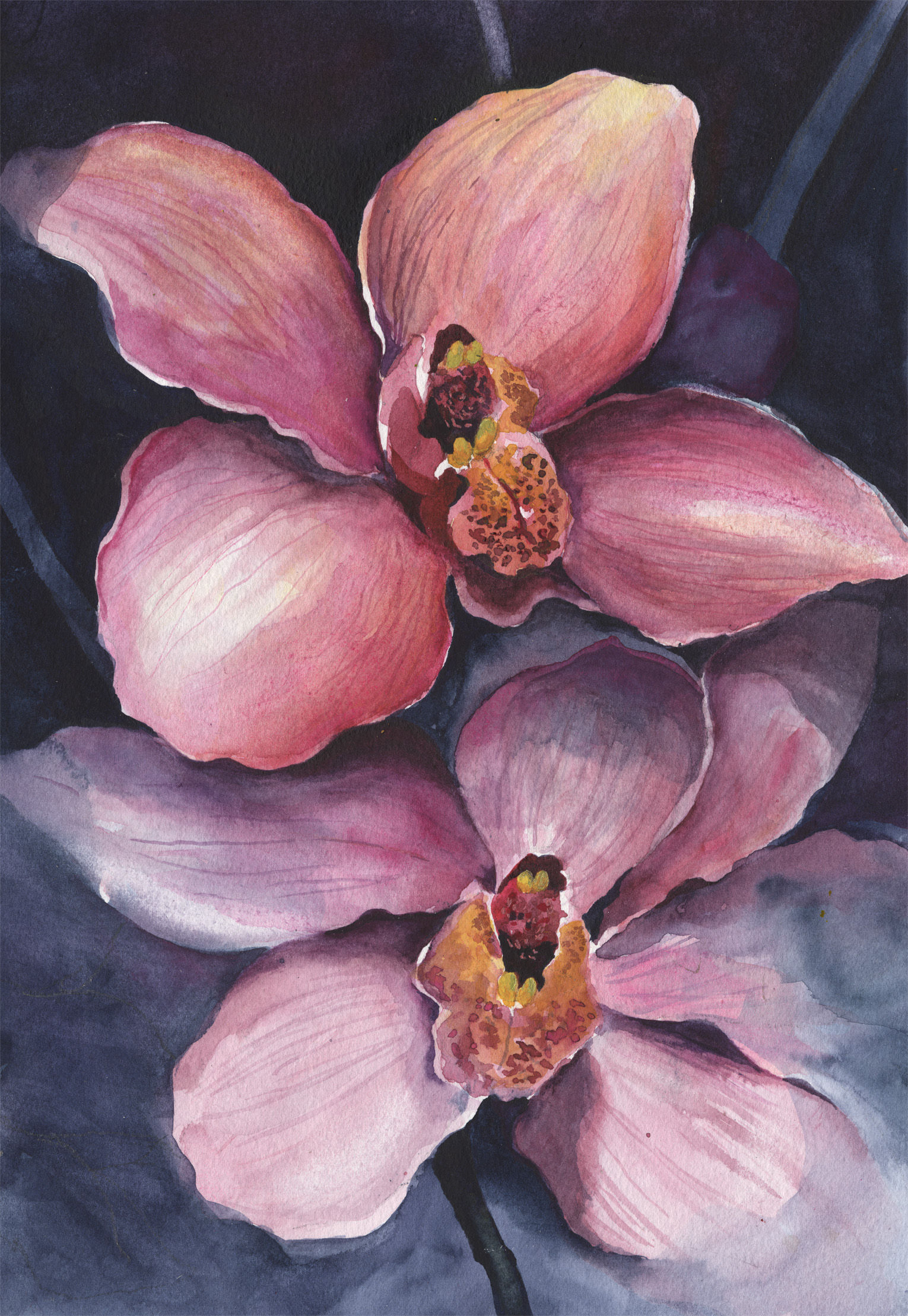 Pink Orchids