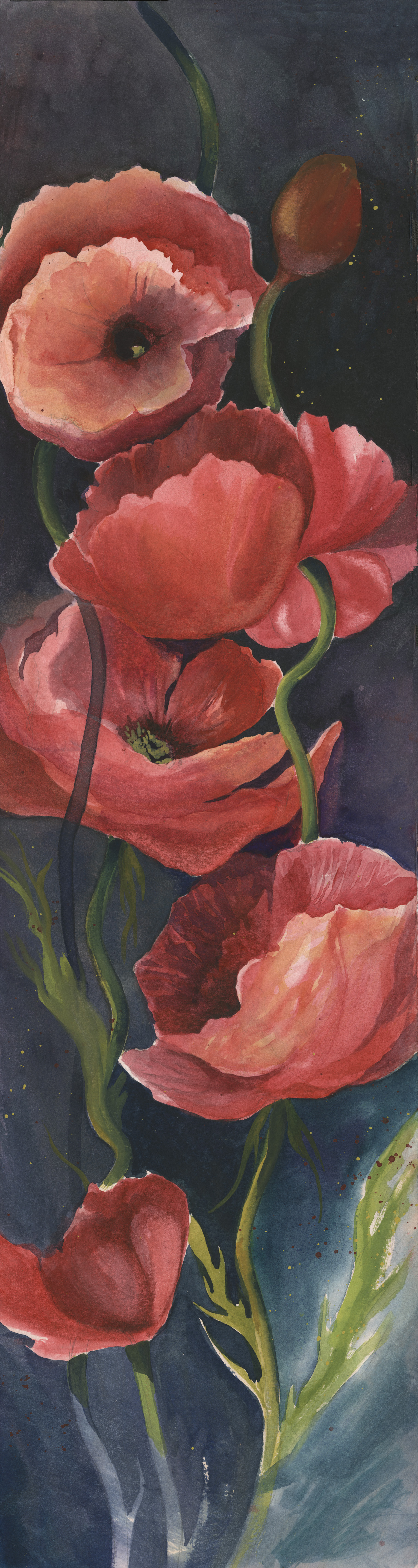 Tall Poppies