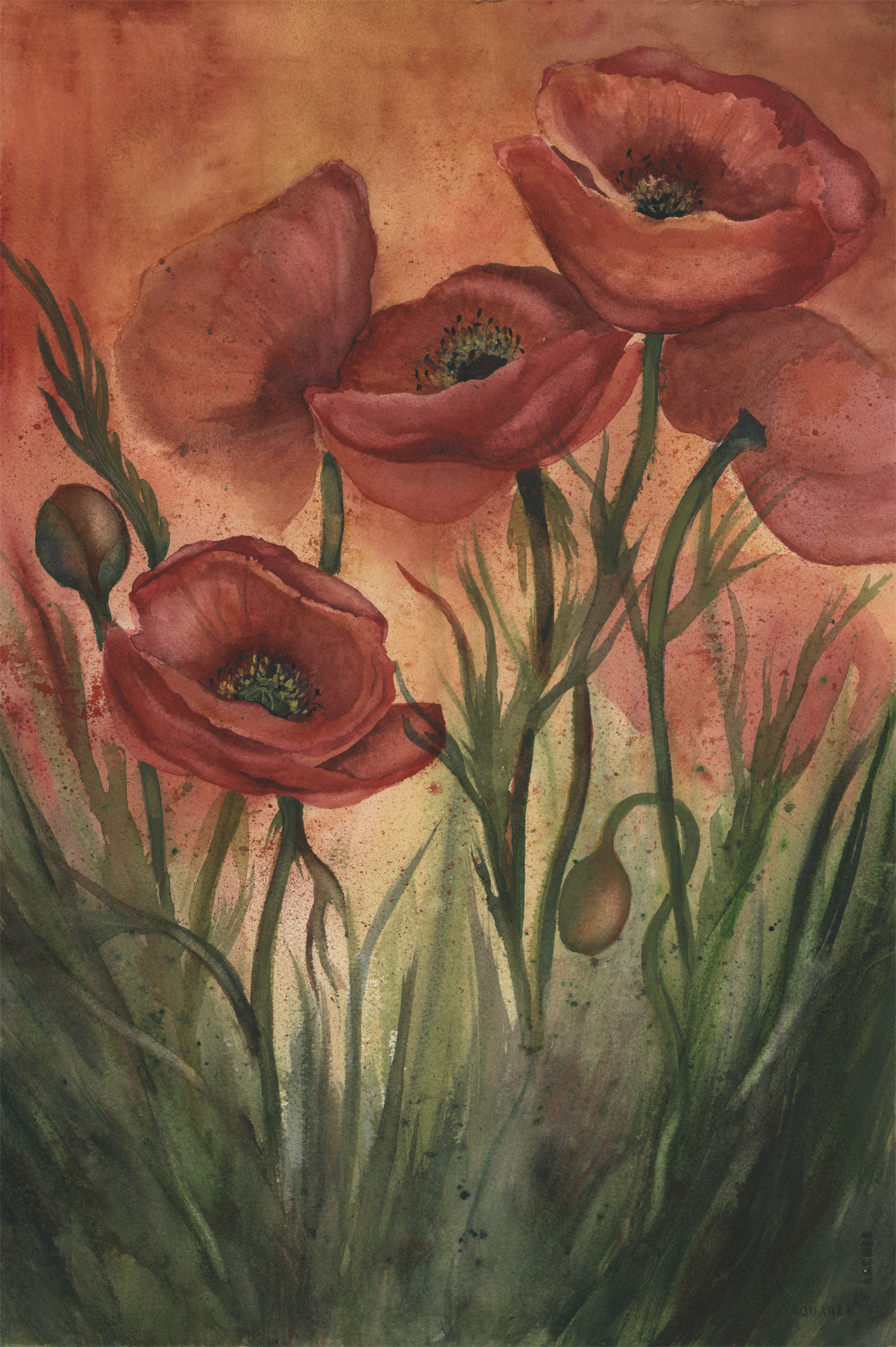 Summer Poppies