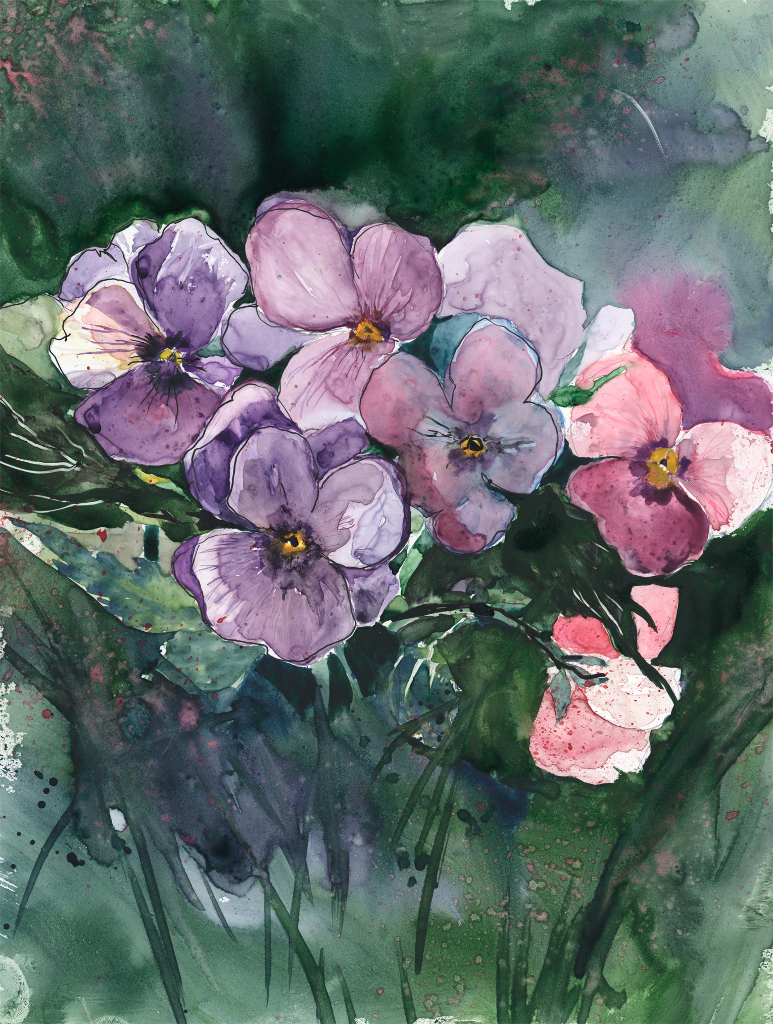 Pansy Garden