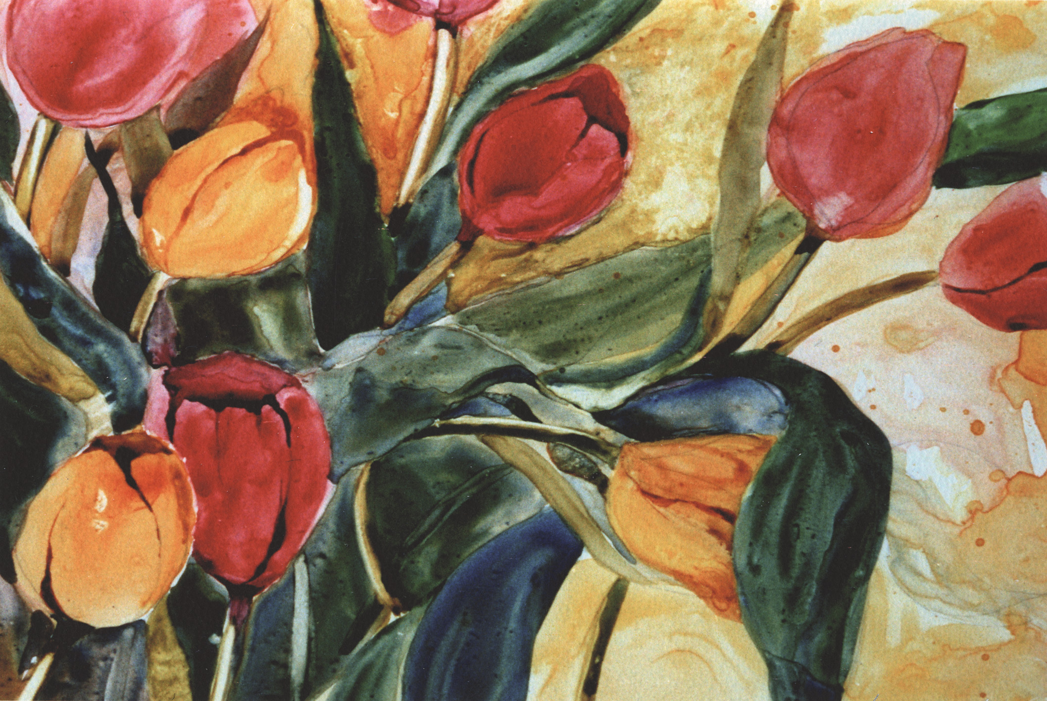 Tulips in Rain