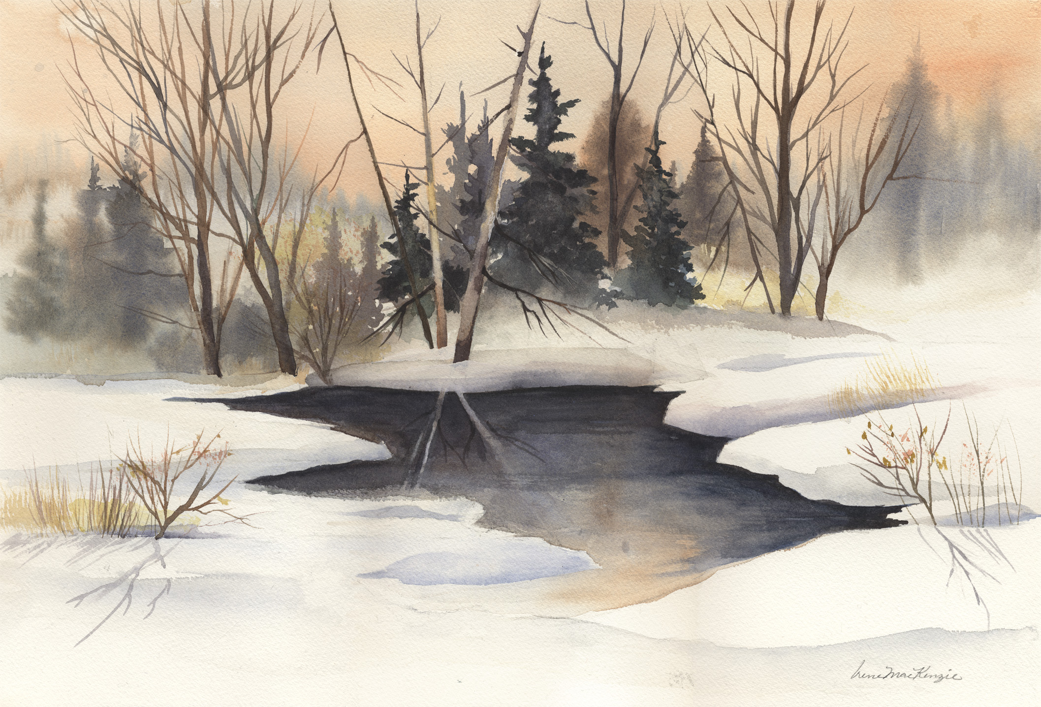 Frozen Pond