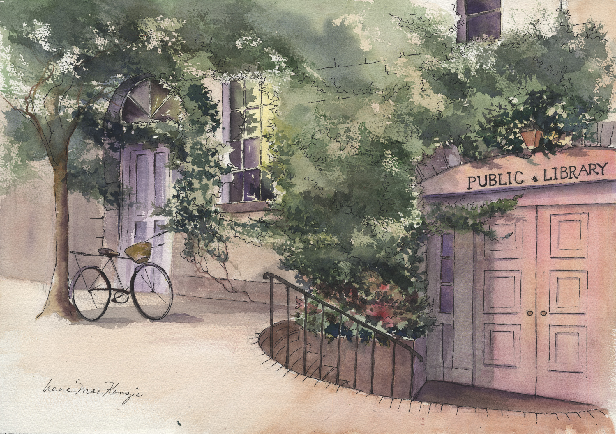 Library in Summer