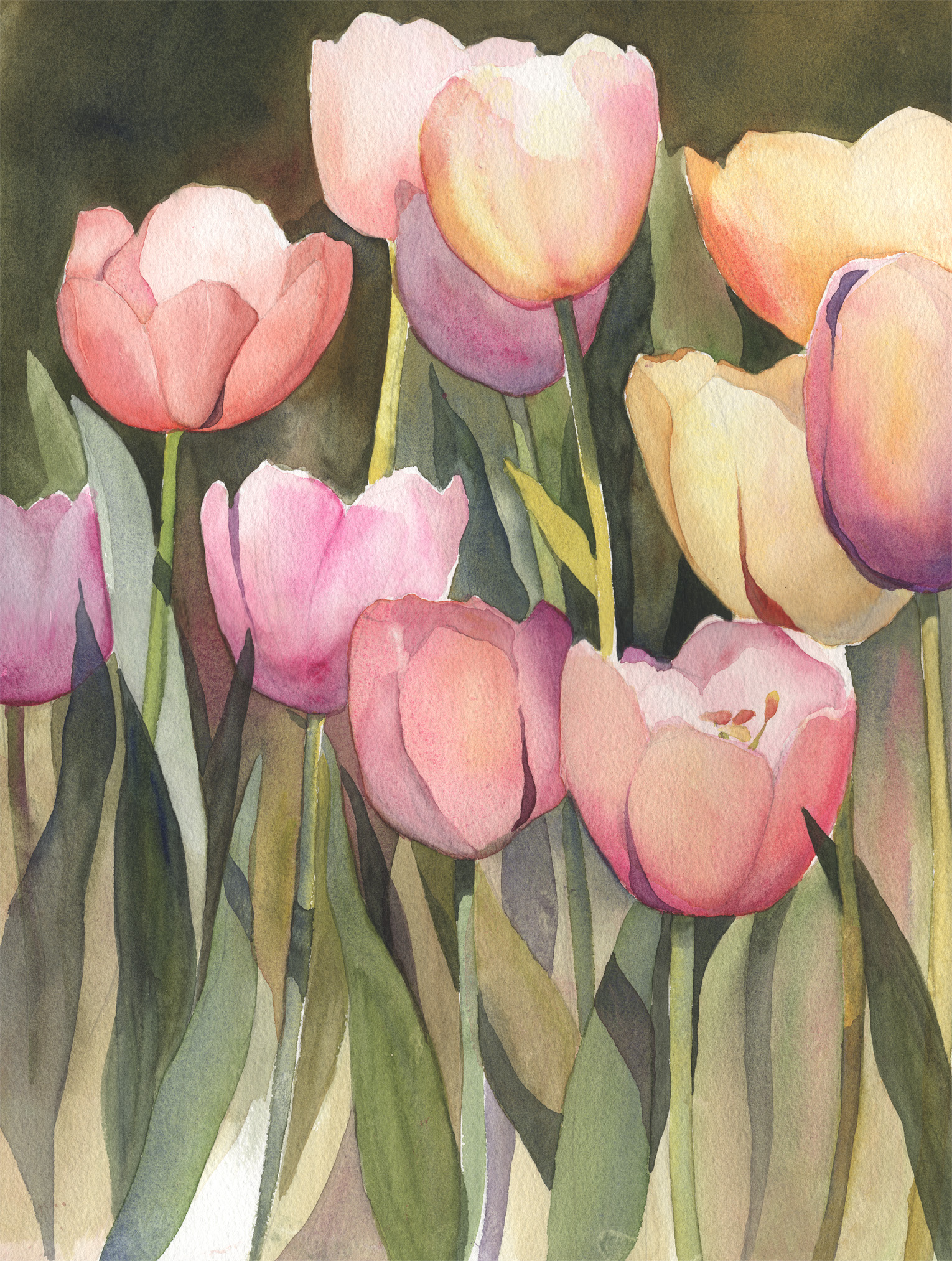 Shades of Sherbet