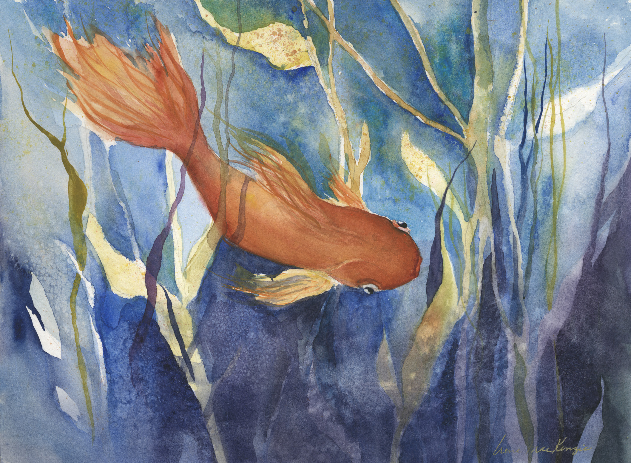 Something Fishy