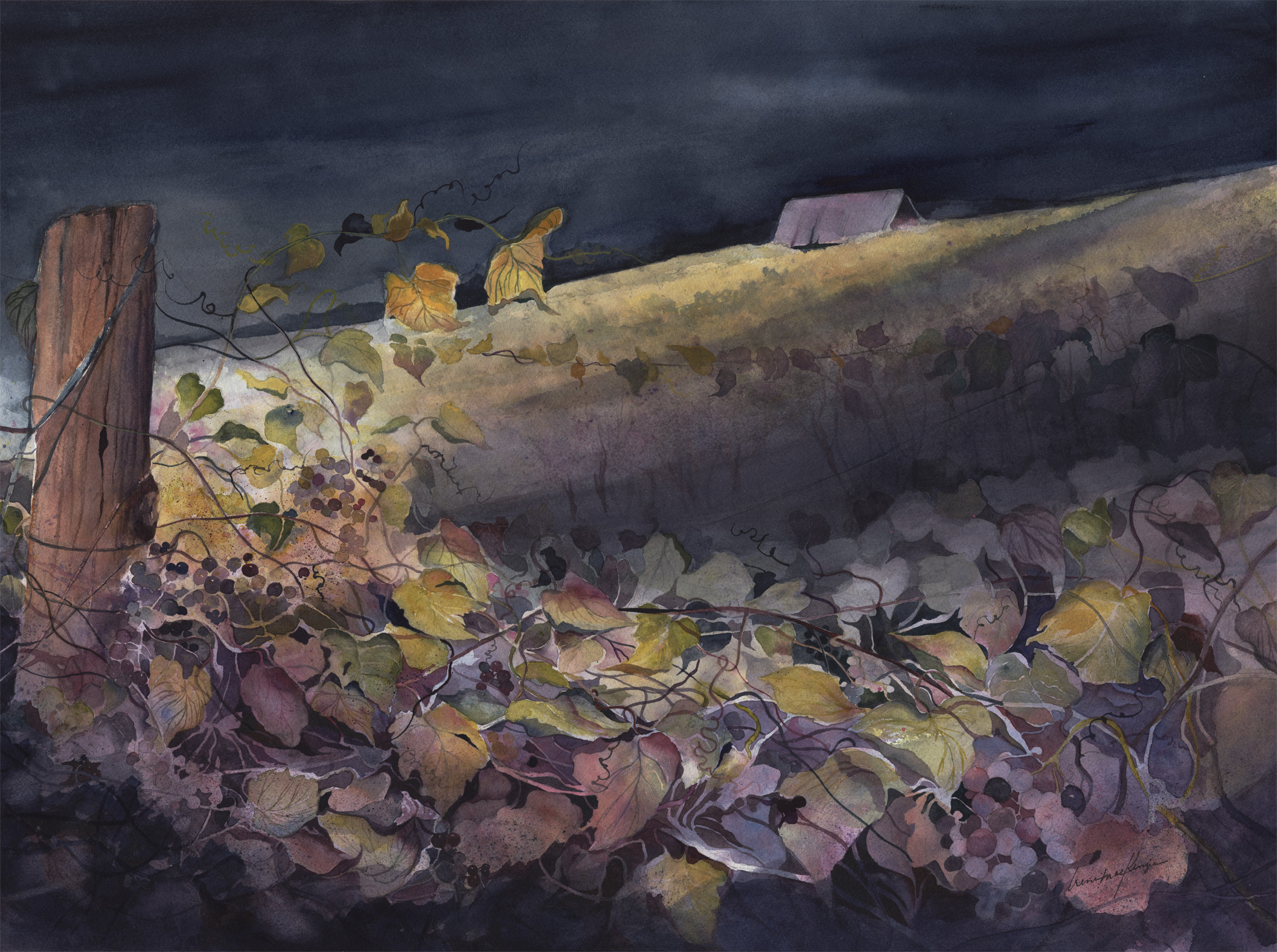 Moonlit Vineyard