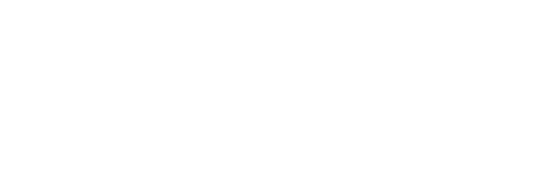 wohnträumli gross.png